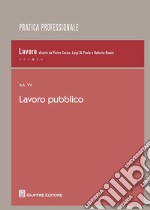 Lavoro pubblico libro