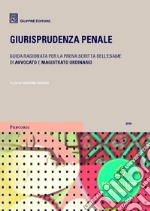 Giurisprudenza penale libro