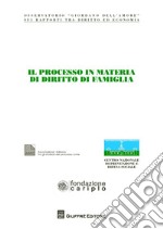 Il processo in materia di diritto di famiglia libro