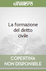 La formazione del diritto civile