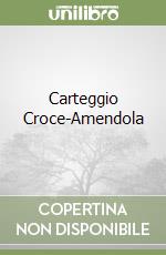 Carteggio Croce-Amendola libro