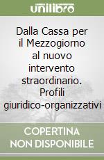 Dalla Cassa per il Mezzogiorno al nuovo intervento straordinario. Profili giuridico-organizzativi