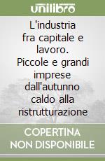 L'industria fra capitale e lavoro. Piccole e grandi imprese dall'autunno caldo alla ristrutturazione libro