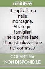 Il capitalismo nelle montagne. Strategie famigliari nella prima fase d'industrializzazione nel comasco libro