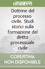 Dottrine del processo civile. Studi storici sulla formazione del diritto processuale civile libro