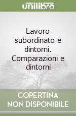 Lavoro subordinato e dintorni. Comparazioni e dintorni libro