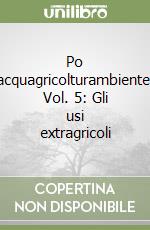 Po acquagricolturambiente. Vol. 5: Gli usi extragricoli libro