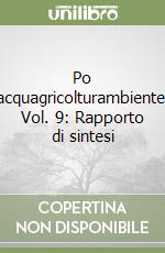 Po acquagricolturambiente. Vol. 9: Rapporto di sintesi libro