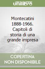 Montecatini 1888-1966. Capitoli di storia di una grande impresa