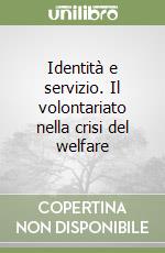 Identità e servizio. Il volontariato nella crisi del welfare