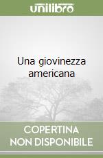 Una giovinezza americana