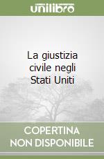 La giustizia civile negli Stati Uniti