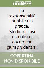 La responsabilità pubblica in pratica. Studio di casi e analisi di documenti giurisprudenziali libro