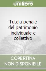 Tutela penale del patrimonio individuale e collettivo