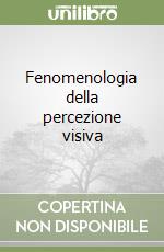 Fenomenologia della percezione visiva