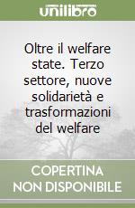 Oltre il welfare state. Terzo settore, nuove solidarietà e trasformazioni del welfare libro