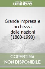 Grande impresa e ricchezza delle nazioni (1880-1990) libro