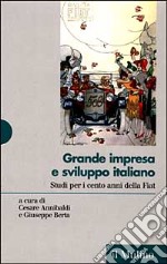 Grande impresa e sviluppo italiano. Studi per i cento anni della Fiat libro