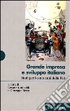 Grande impresa e sviluppo italiano. Studi per i cento anni della Fiat libro