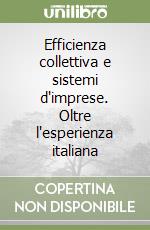 Efficienza collettiva e sistemi d'imprese. Oltre l'esperienza italiana libro