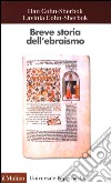 Breve storia dell'ebraismo libro