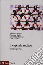 Il capitale sociale. Istruzione per l'uso libro