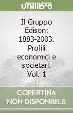 Il Gruppo Edison: 1883-2003. Profili economici e societari. Vol. 1 libro