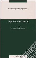 Impresa e territorio libro