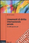 Lineamenti di diritto internazionale penale. Vol. 2: Diritto processuale libro