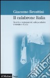Il calabrone Italia. Ricerche e ragionamenti sulla peculiarità economica italiana libro di Becattini Giacomo