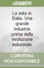 La seta in Italia. Una grande industria prima della rivoluzione industriale