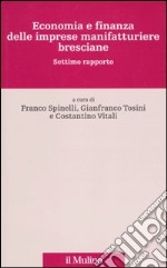 Economia e finanza delle imprese manifatturiere bresciane. Settimo rapporto libro