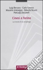 Cinesi a Torino. La crescita di un arcipelago libro