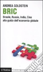 Bric. Brasile, Russia, India, Cina alla guida dell'economia globale libro