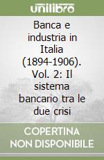 Banca e industria in Italia (1894-1906). Vol. 2: Il sistema bancario tra le due crisi libro