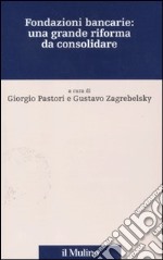 Fondazioni bancarie: una grande riforma da consolidare libro