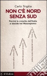 Non c'è Nord senza Sud. Perché la crescita dell'Italia si decide nel Mezzogiorno libro