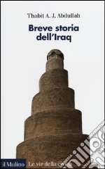 Breve storia dell'Iraq libro