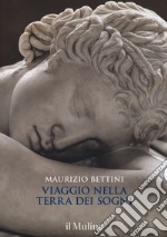 Viaggio nella terra dei sogni. Ediz. a colori libro