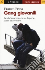 Gang giovanili. Perché nascono, chi ne fa parte, come intervenire libro