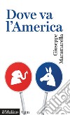 Dove va l'America libro