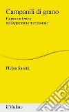 Campanili di grano. Patrimoni festivi nell'Appennino meridionale libro