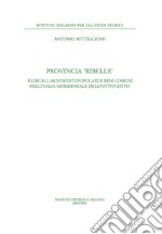 Provincia ribelle. Radicali, movimenti popolari e beni comuni nell'Italia meridionale dell'Ottocento