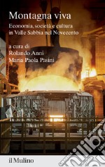 Montagna viva. Economia, società e cultura in Valle Sabbia nel Novecento libro