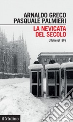 La nevicata del secolo. L'Italia nel 1985