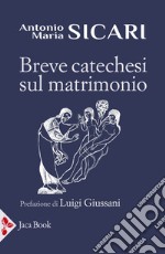 Breve catechesi sul matrimonio libro