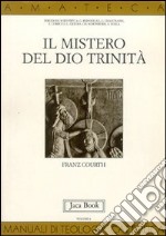 Il mistero del Dio Trinità libro