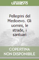 Pellegrini del Medioevo. Gli uomini, le strade, i santuari libro