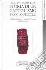 Storia di un capitalismo piccolo piccolo. Lo stato italiano e i capitani d'impresa dal '45 a oggi libro