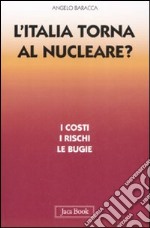 L'Italia torna al nucleare. I costi, i rischi, le bugie